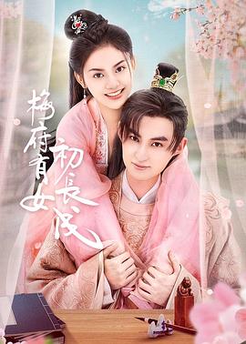 南海seo软件优化代理